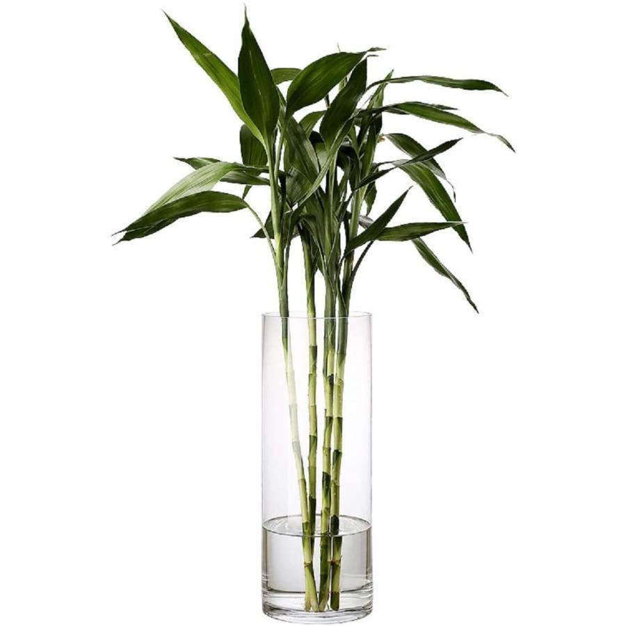 ガラス 花瓶 花器 シリンダー 円柱 花瓶 ガラス 花瓶 おしゃれ 大 花瓶北欧 花瓶 25cmフラワーベース 花器 バスケット 花瓶 ガー 000 Tg Office 通販 Yahoo ショッピング