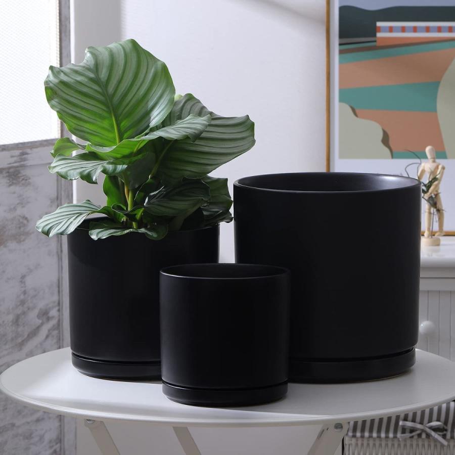 UMIAMOY 植木鉢 現代円筒形セラミック植木鉢 屋内と屋外の植物植木鉢 排水穴とソーサー付きセラミック植木鉢 ブラック - 20cm