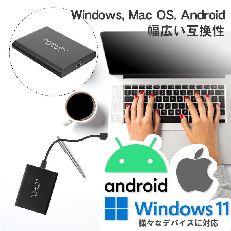 1TB SSD 書き込み510MB/s 3.1 USB 外付け 最大書き込み 最大読み込み