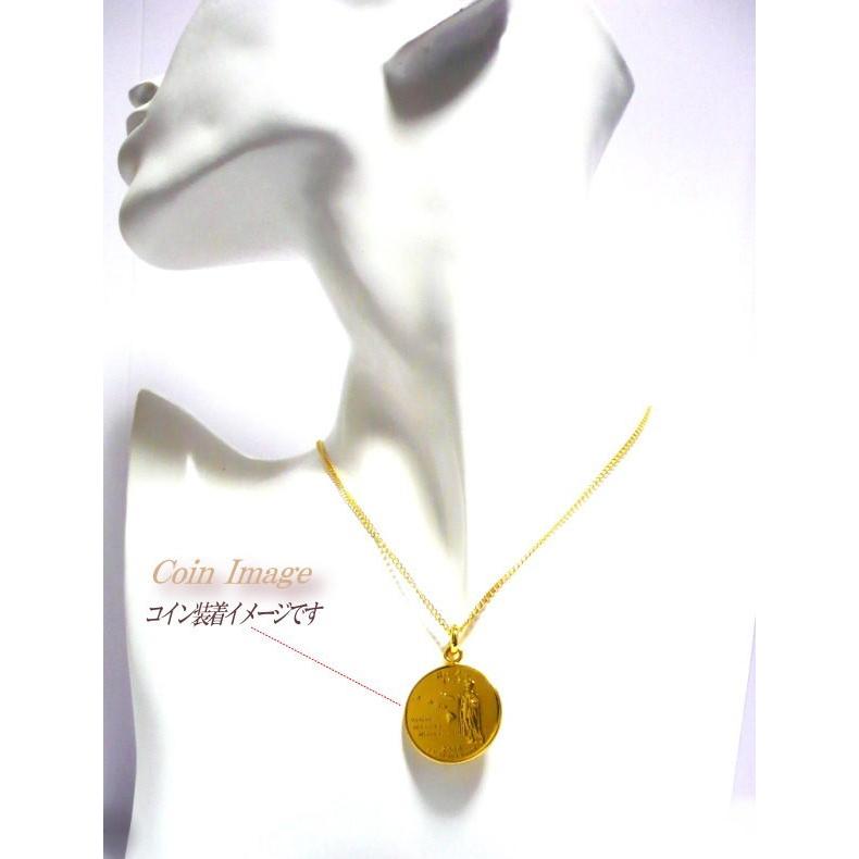 ニューヨーク 州 アメリカ 18金 18K コーティング 外国 コイン  