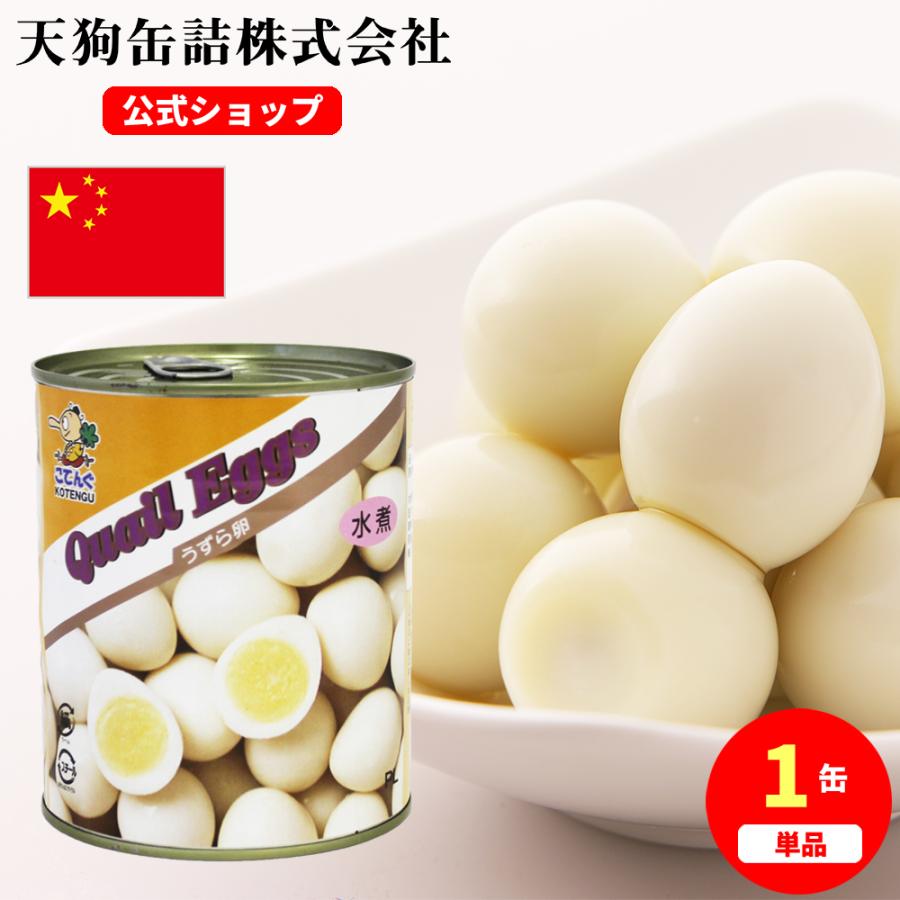 天狗缶詰 うずらの卵水煮 うずら卵缶詰 中国産 EO 2号缶 1缶約50-60卵