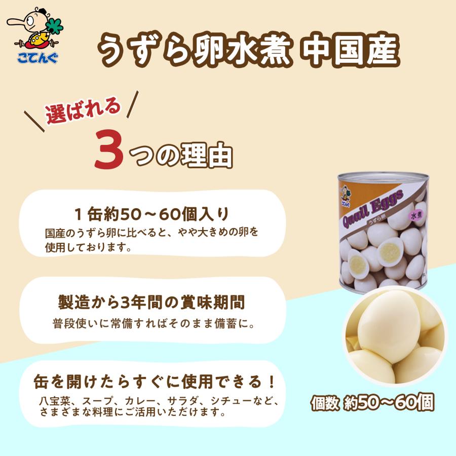 天狗缶詰 うずらの卵水煮 うずら卵缶詰 12缶セット 中国産 EO 2号缶 1