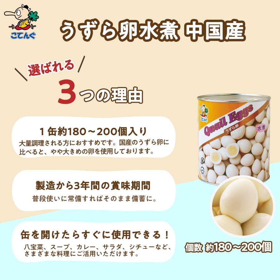 天狗缶詰 うずらの卵水煮 うずら卵缶詰 中国産 1号缶 1缶約180-200卵
