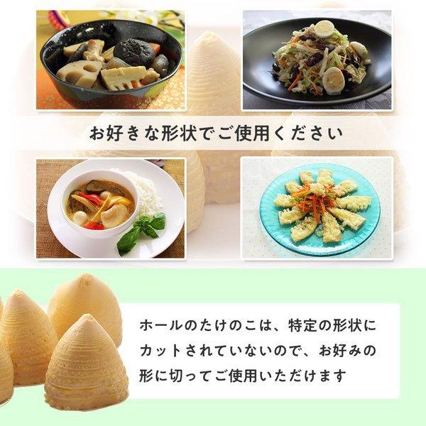 天狗缶詰 たけのこ水煮 缶詰 中国原料国内製造 ホール 2号缶 個数約6