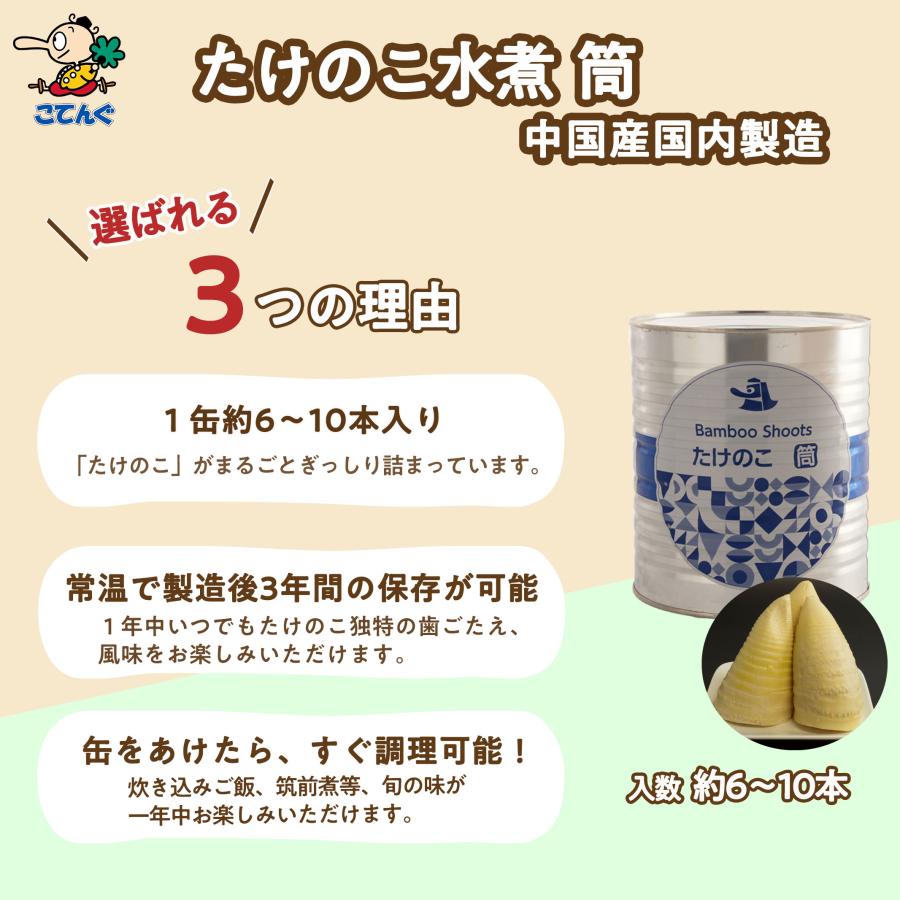 天狗缶詰 たけのこ水煮 缶詰 6缶セット 中国原料国内製造 筒（長め）M