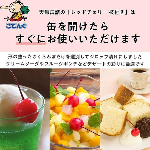 レッドチェリー(さくらんぼ)枝付 缶詰 国産 4号缶 個数約4768個 バラ売り 天狗缶詰 業務用 食品 2700100140400業務用e缶詰屋こてんぐ 天狗缶詰 通販