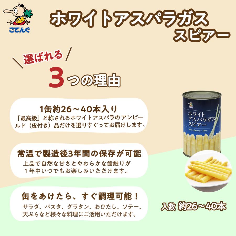 天狗缶詰 ホワイトアスパラガス水煮 缶詰 中国産 スピアー（穂先