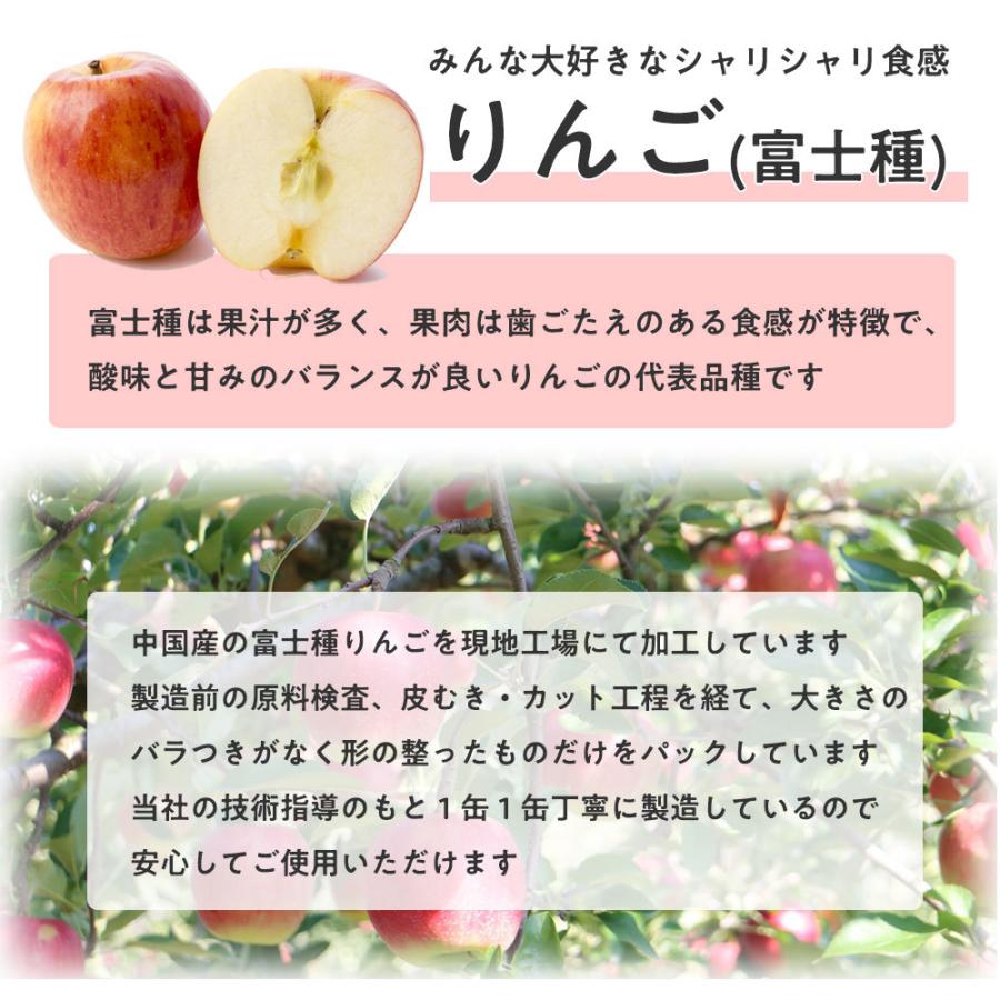りんご様　リクエスト4点　まとめ商品 アップルパイ様 リクエスト 10点 まとめ商品 AKRAPOVIC