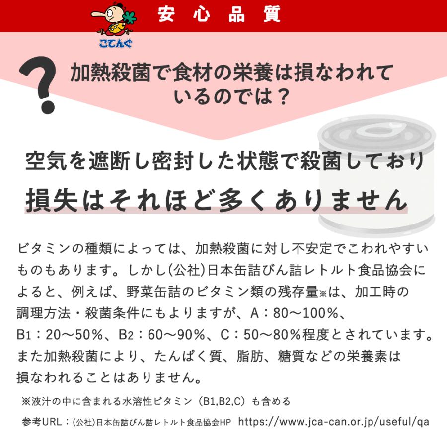 パイナップル チャンク缶詰 6缶 セット フィリピン産 1号缶 冷や しパイン 業務用 天狗缶詰 缶詰 セット フルーツ缶 フルーツ 果 物 パイン 保存食 非常食 備蓄_12