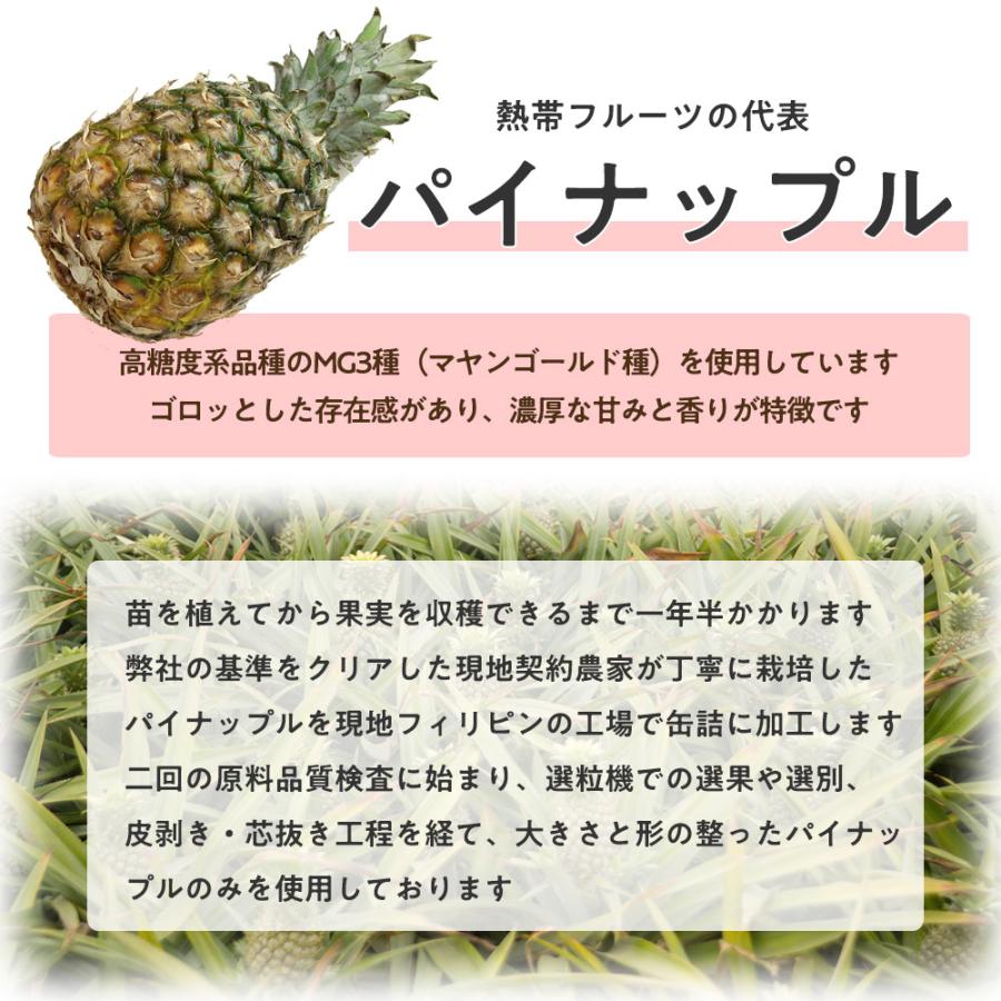 パイナップル チャンク缶詰 6缶 セット フィリピン産 1号缶 冷や しパイン 業務用 天狗缶詰 缶詰 セット フルーツ缶 フルーツ 果 物 パイン 保存食 非常食 備蓄_8