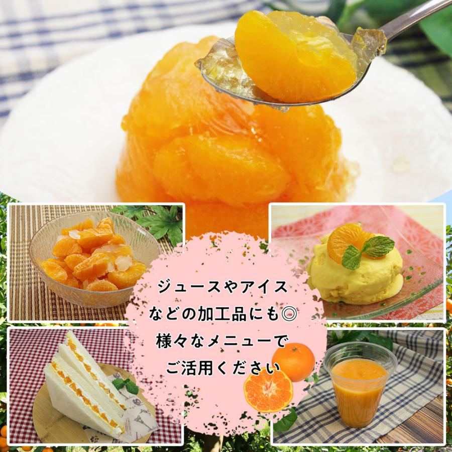 天狗缶詰 みかん 8袋セット 中国原料国内製造 1,000gx8袋セット