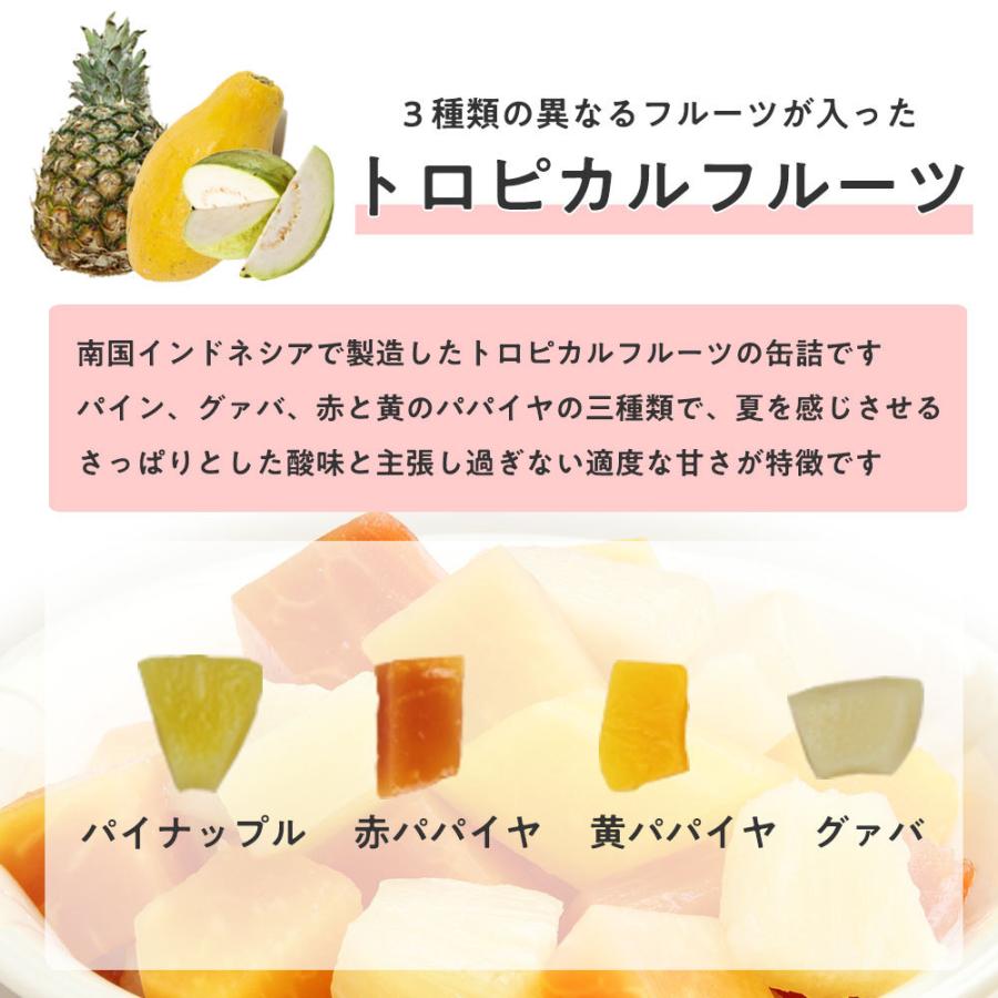 天狗缶詰 トロピカルフルーツ 缶詰 インドネシア産 1号缶 固形1,800g