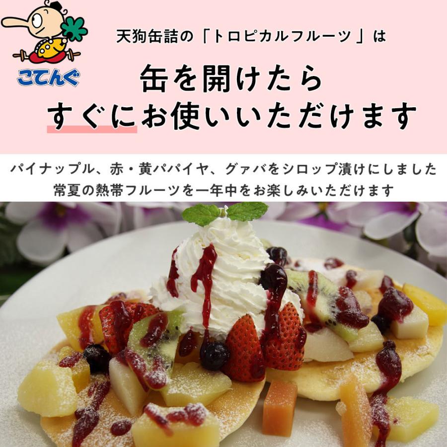 天狗缶詰 トロピカルフルーツ 缶詰 インドネシア産 1号缶 固形1,800g