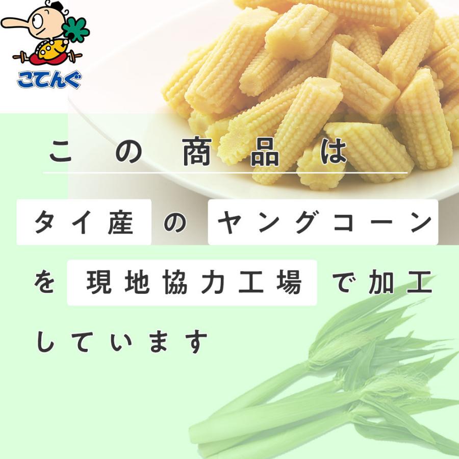 ヤングコーン水煮 缶詰 6缶セット タイ産 斜めカット 1号缶 固形1,500gx6缶 天狗缶詰 業務用 食品｜tgctengu｜04