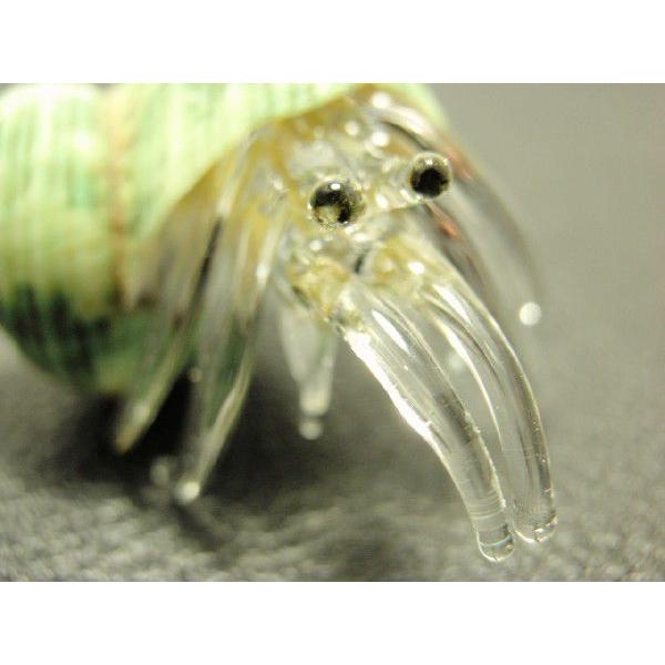 ThaiVetroGlass(タイベトロガラス)ガラス細工/ヤドカリ緑