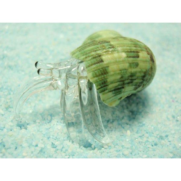 ガラス細工　ヤドカリ ガラス細工 ヤドカリ 沖縄 お土産 お取り寄せ 海の生き物 置物