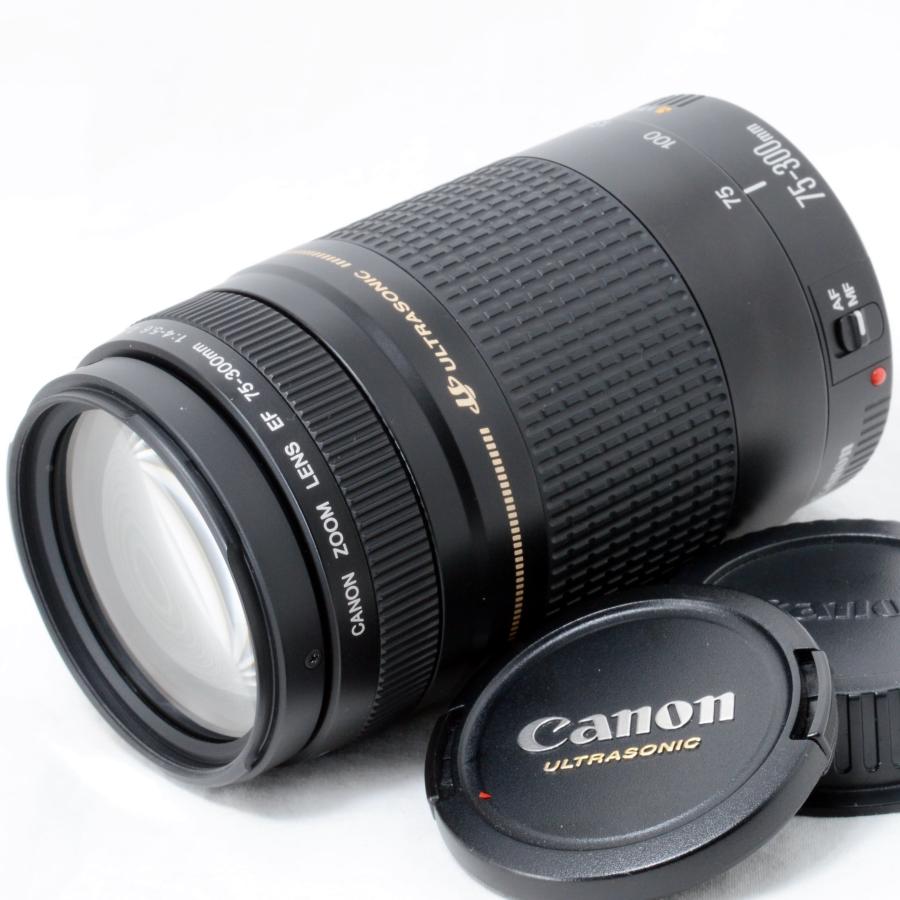 EFレンズ キャノン 望遠ズームレンズ Canon EF 75-300mm F4-5.6 II USM