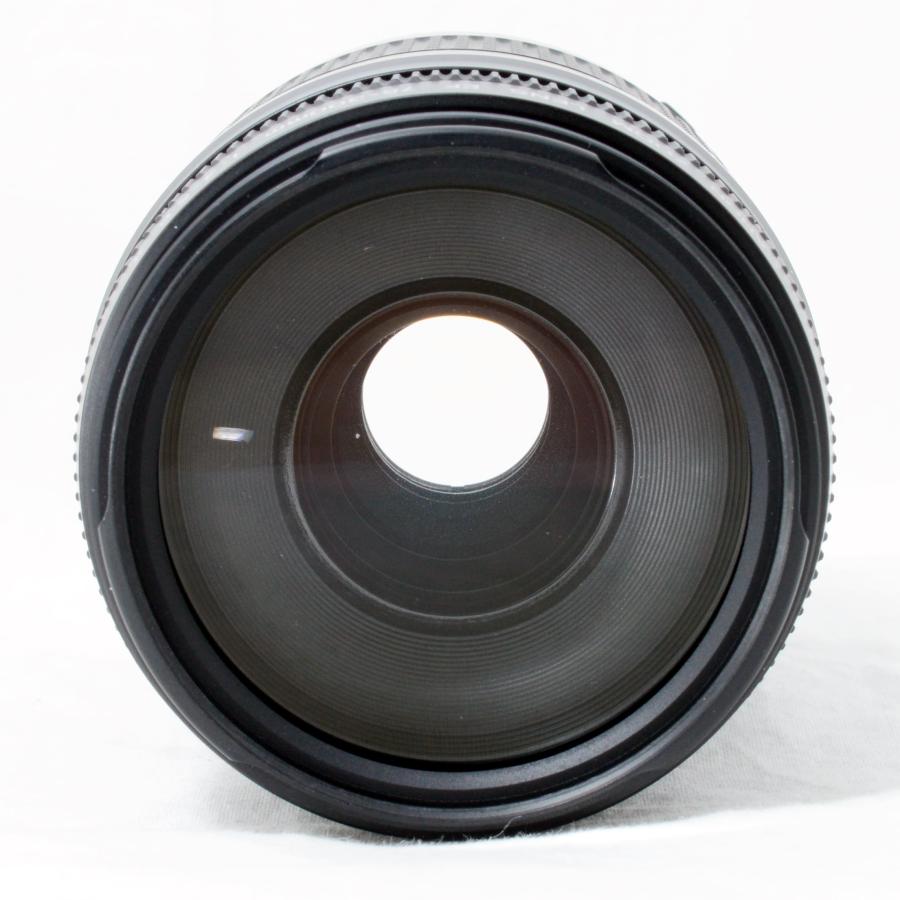 EFレンズ キャノン 望遠ズームレンズ Canon EF 75-300mm F4-5.6 II USM