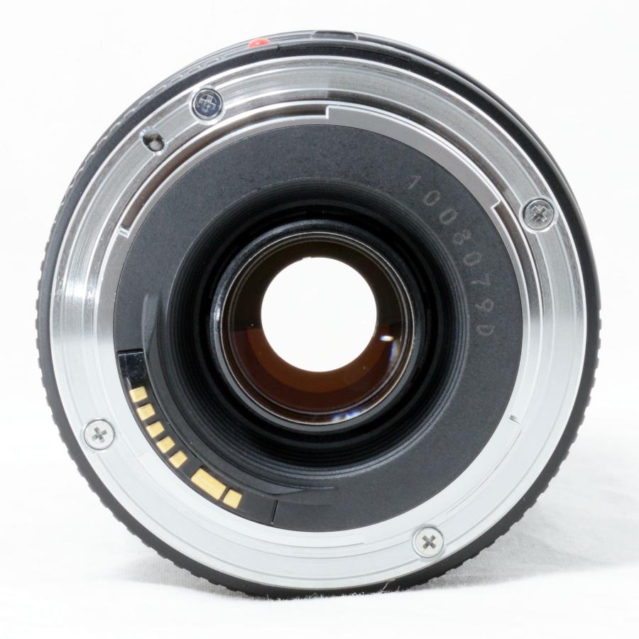 EFレンズ キャノン 望遠ズームレンズ Canon EF 75-300mm F4-5.6 II USM