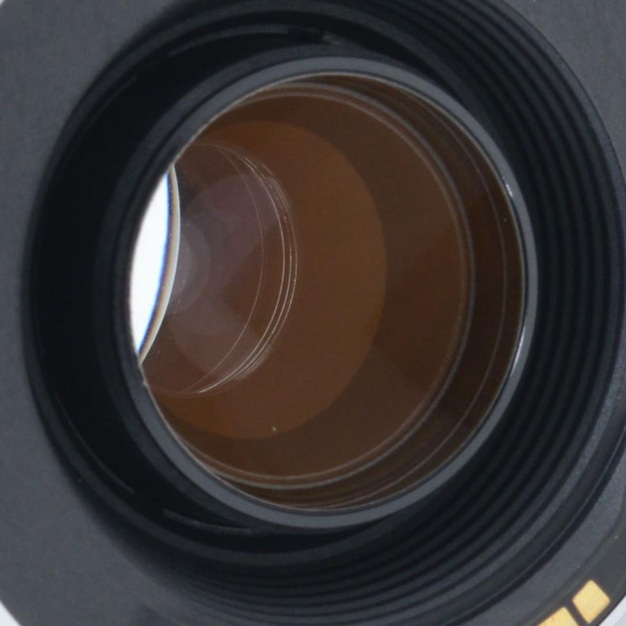 EFレンズ キャノン 望遠ズームレンズ Canon EF 75-300mm F4-5.6 II USM