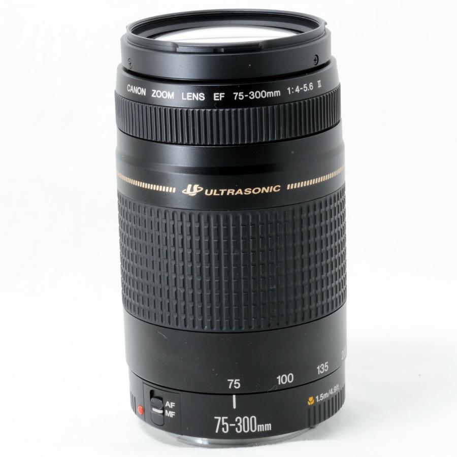 EFレンズ キャノン 望遠ズームレンズ Canon EF 75-300mm F4-5.6 II USM