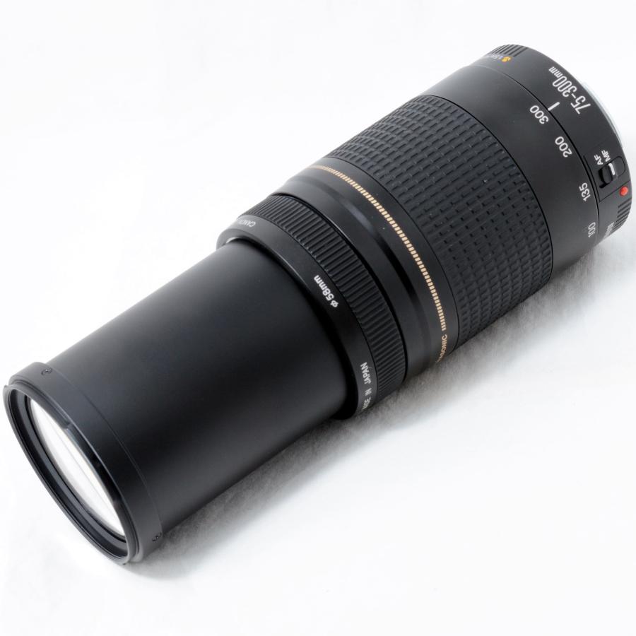 EFレンズ キャノン 望遠ズームレンズ Canon EF 75-300mm F4-5.6 II USM