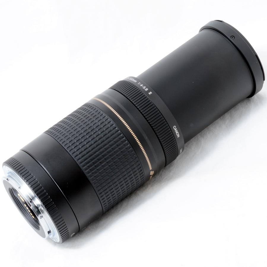 EFレンズ キャノン 望遠ズームレンズ Canon EF 75-300mm F4-5.6 II USM
