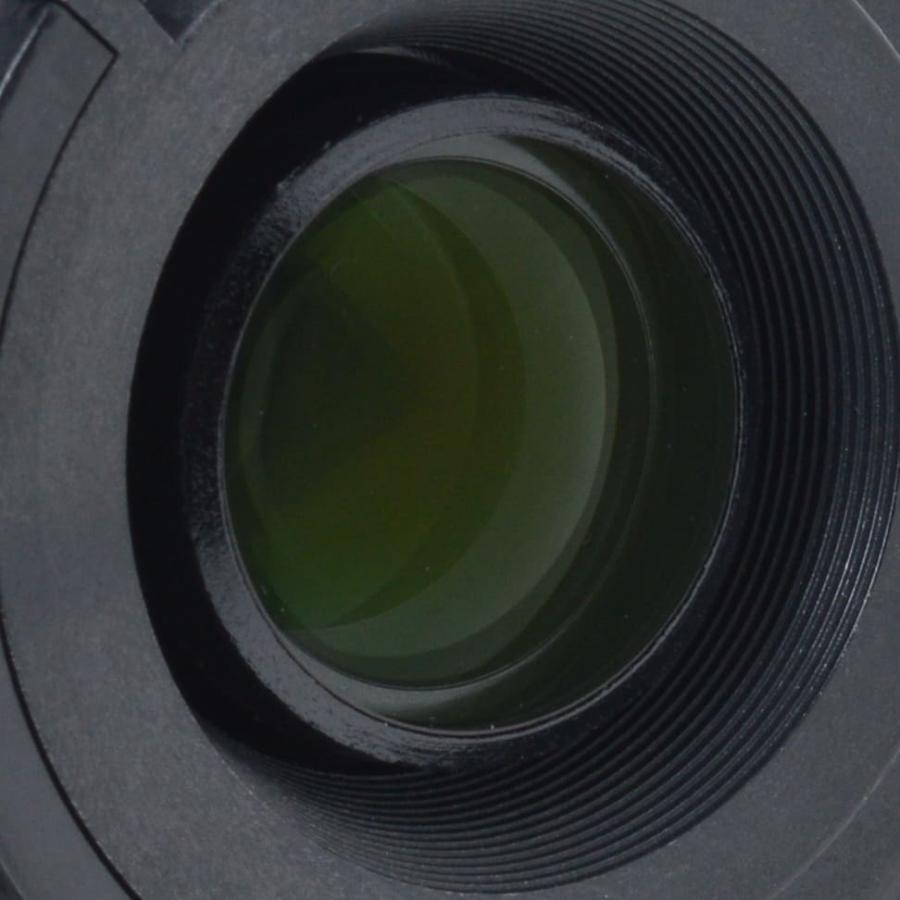 NIKKOR ニコン 望遠ズームレンズ Nikon AF-S DX VR Zoom Nikkor 55