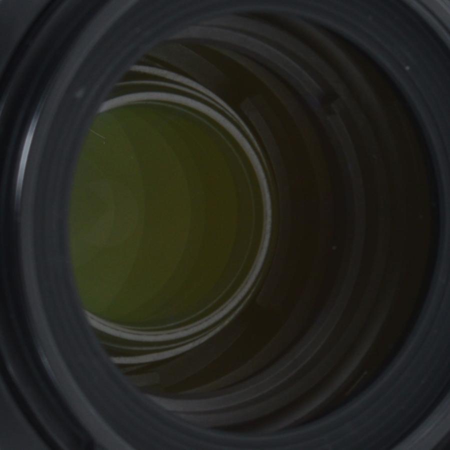 NIKKOR ニコン 望遠ズームレンズ Nikon AF-S DX VR Zoom Nikkor 55