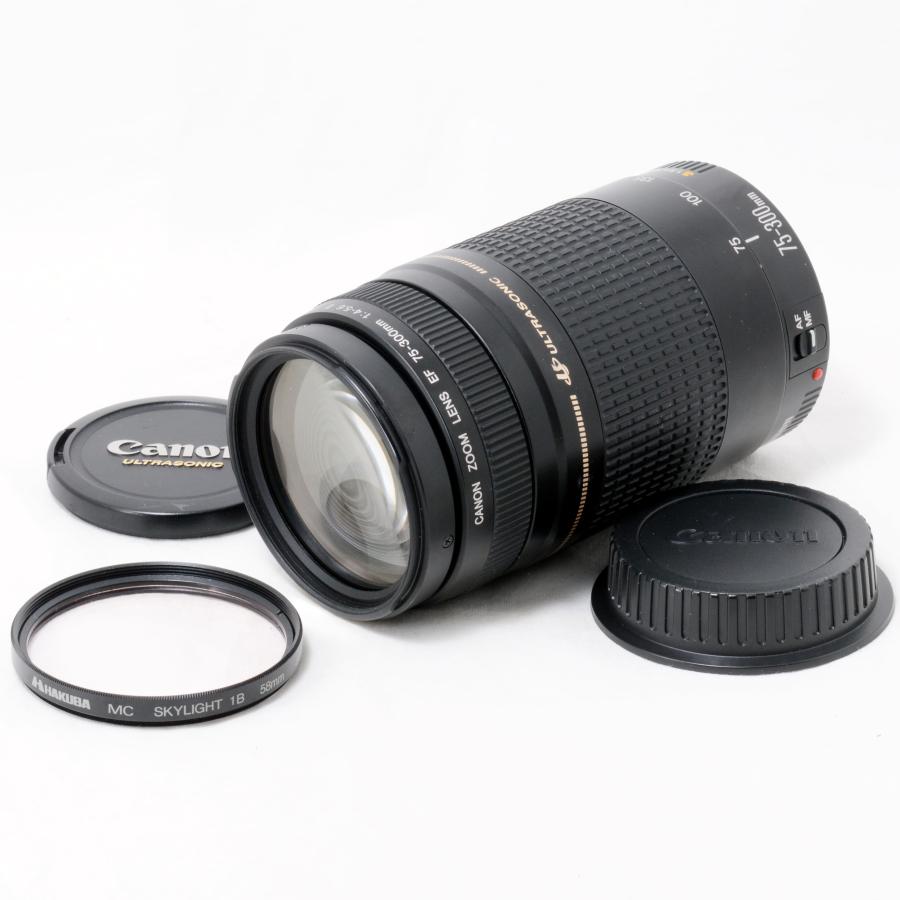 キヤノン 望遠ズームレンズ Canon EF 75-300mm カバー付き CANON