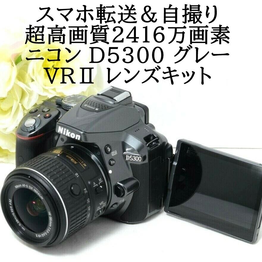 ニコン Nikon D5300 VRII レンズキット グレーカラー SDカード付き 