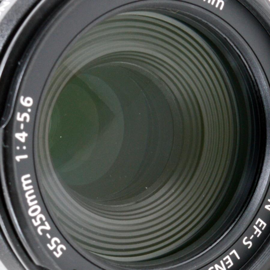 EF-S キヤノン 望遠ズームレンズ Canon 55-250mm F4-5.6 IS 手振れ補正