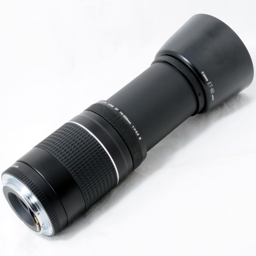 ★全国発送対応★交渉可★【手ぶれ補正機能！】Canon EF 75-300mm  IS 超望遠レンズ キヤノン EF 75-300mm 手ブレ補正レンズ