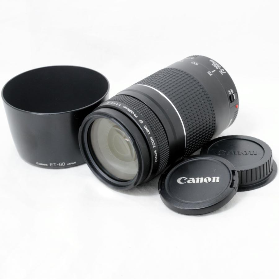 EFレンズ キャノン 望遠ズームレンズ Canon EF 75-300mm F4-5.6 III