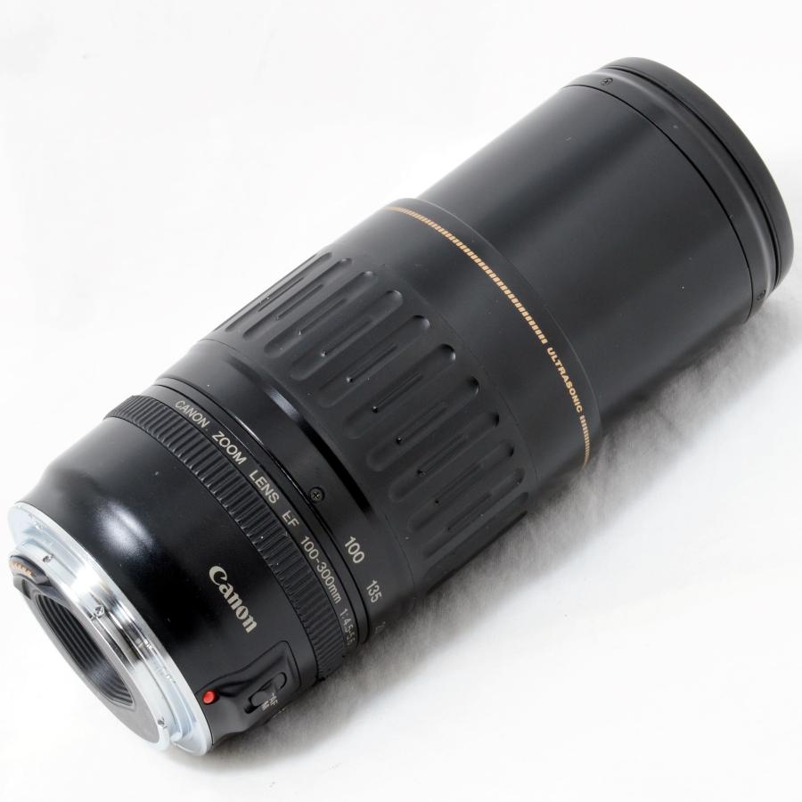 EFレンズ キャノン 望遠ズームレンズ Canon EF 100-300mm F4.5-5.6 USM