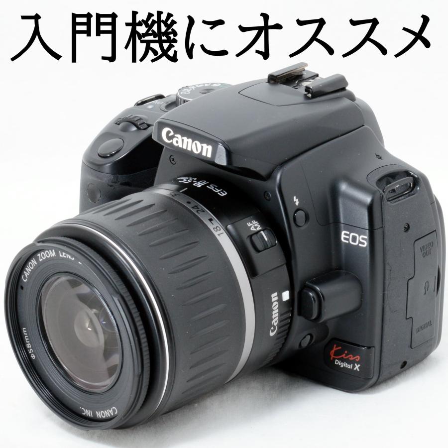 Canon EOS デジタル一眼レフカメラ 18-55mmレンズ EOS Kiss キヤノン Canon X10 EF-S 18-55mm STM 55-250mm ダブルズーム