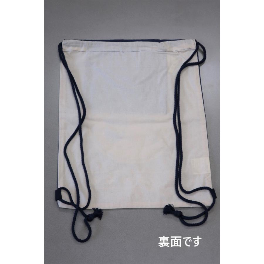 FRIENDSHILL（フレンズヒル） ナップサック 猫 みやけ リュック