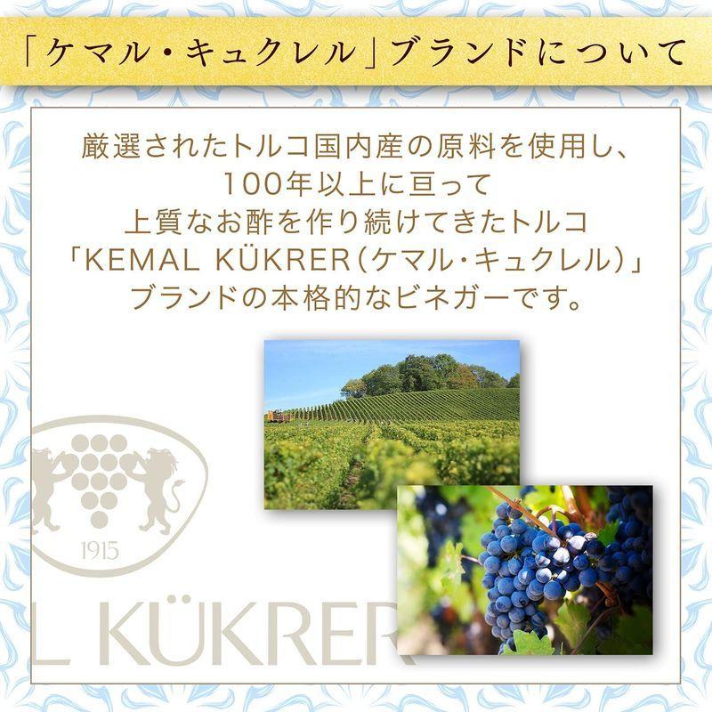味の素 Kemal Kukrer ケマルキュクレル 2個 メーカー直送 Elma 500ml りんご酢