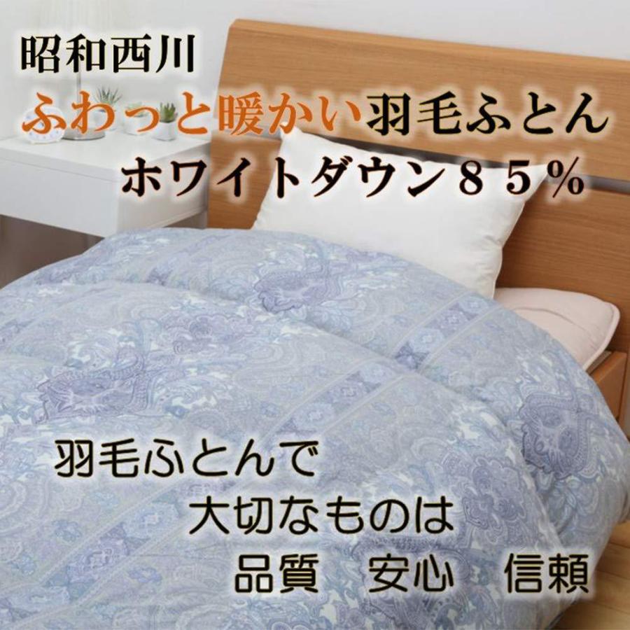 激安の 昭和西川 掛けふとん ブルー シングル 信頼の羽毛布団 暖ふわっ350dp ダウン85 夏得 掛け布団wdd85 信頼 Uitcs Acm Org