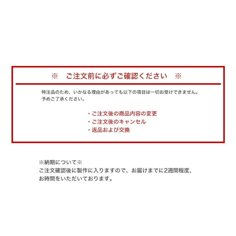 BJクラシックコレクション PREM-114CW NT 45サイズ センシティ2 センシティダーク 可視光調光 調光 サングラス 色が変わる BJ CLASSIC COLLECTION [OS]_17