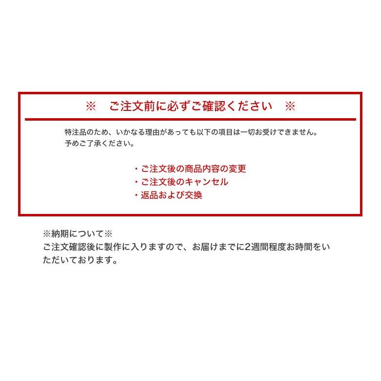 BJクラシックコレクション PREM-114S NT 47サイズ サンテック ミスティ 調光 サングラス 眼鏡 度付き 色が変わる ライトカラー BJ CLASSIC COLLECTION [OS]の画像