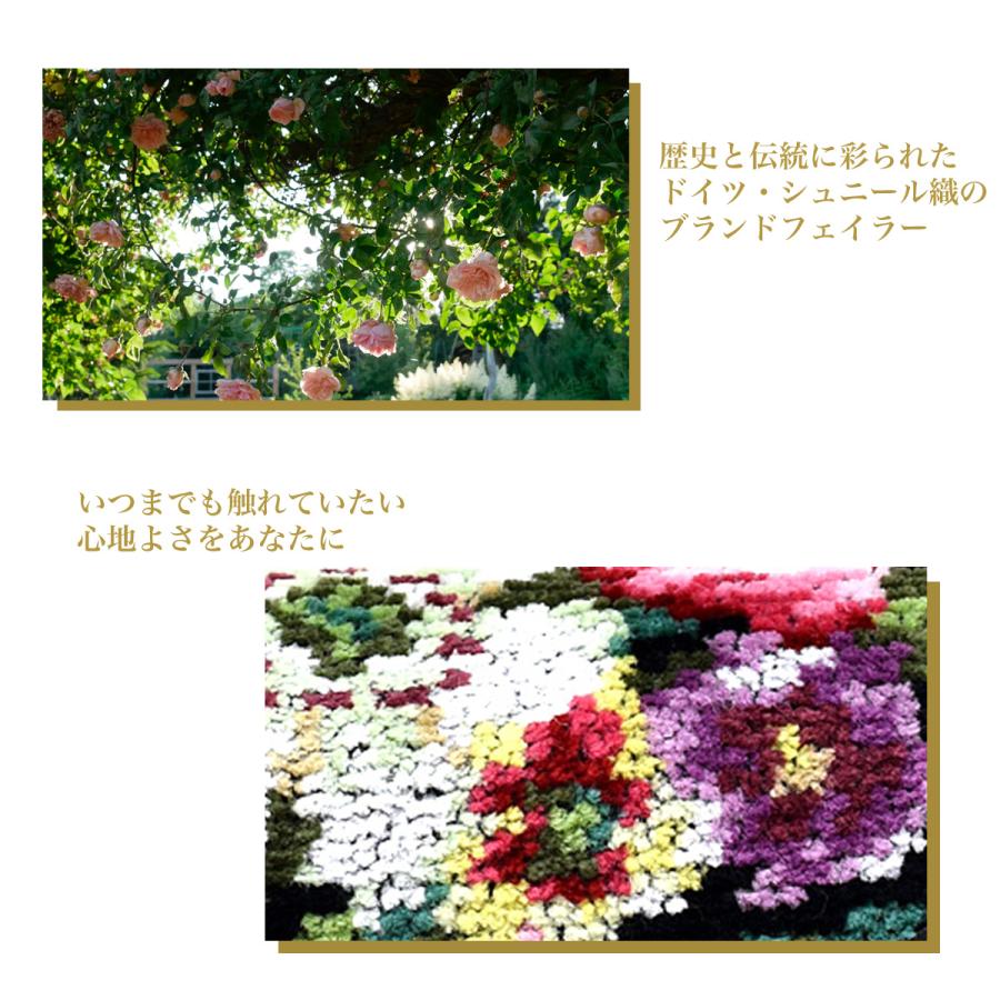 feiler 【メール便：1個まで】 フェイラー FEILER CASE メガネ