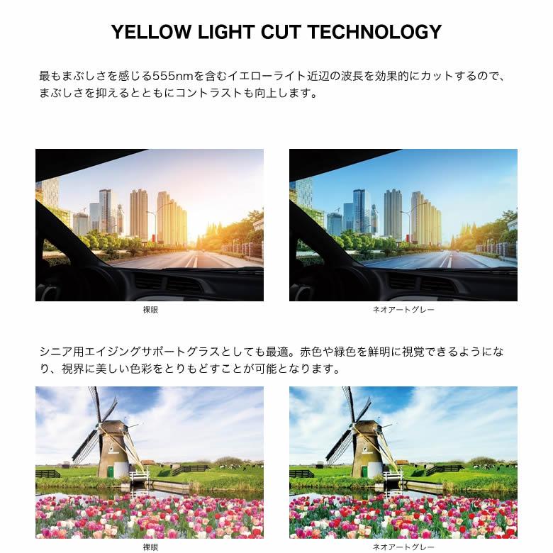 ラコステ L2917LB 52サイズ ネオアートグレー 調光 サングラス  色が変わる ネオコントラストがグレーに変化 夜間運転OK LACOSTE [OS] | LACOSTE | 05