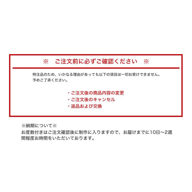 大きいサイズ ランチェッティ LS-K11F 58/62サイズ 大きめ ラージ ニューライトカラー サングラス LANCETTIの画像