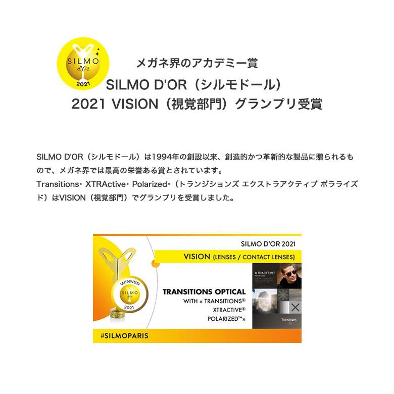 ニコン ライト3-BAS 1.60内面非球面 調光偏光レンズ NL3-BAS XTPG NIKON LITE3-BAS トランジションズエクストラアクティブポラライズド 度付き_9