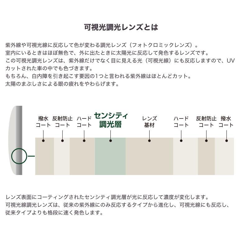 ニュールックスWF1.67 センシティダーク 1.67両面非球面 可視光調光レンズ カーブ付き対応 HOYA NULUX WF 1.67 SENSIT |  | 03