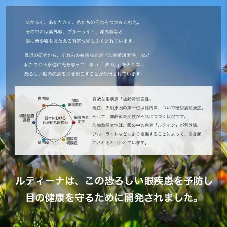 ポラロイド PLDCN0085/F 50サイズ ルティーナフォト UVカット 度数付き対応 調光レンズ  サングラス Polaroid [OS] |  | 11