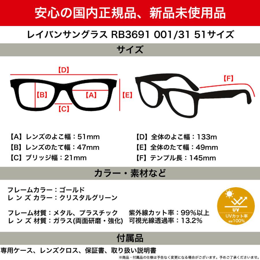 Ray-Ban ラウンドサングラス ブラック レイバン公式ストア】ラウンド / Round サングラス - サークル