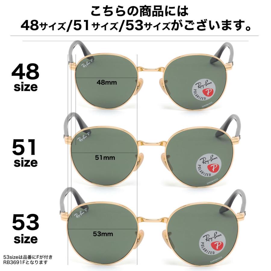 Ray-Ban（レイバン） RB3691 001/P1 48 サングラス 偏光レンズ