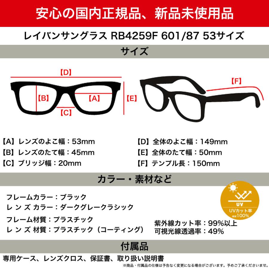 Ray-Ban（レイバン） サングラス RB4259F 601/87 53 WASHED LENSES